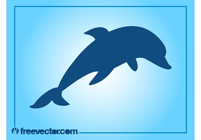 water tail silhouette sea ocean marine mammal jump Fins fauna dolphin Aquatic animal 