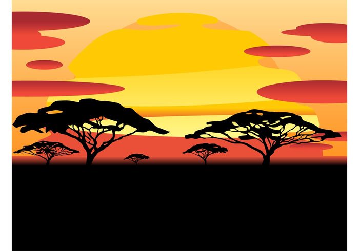 wallpaper trunks trees sun silhouettes plants nature leaves haze clouds background african africa abstract  