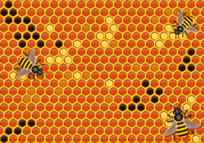 yellow sweet organic nutrition honeycomb honey drip honey hexagon Healthy gold farm Beehive bee background 