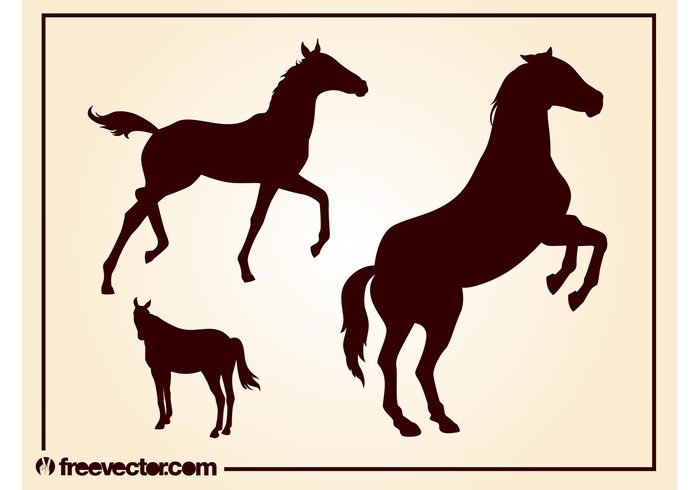 Tails stand silhouettes run ride manes Livestock horses Horse races fauna farm Domesticated animals 