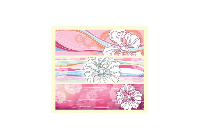 texture summer spring season pure plants plant pink petal pattern life horizontal fresh flowers flower color collage close-up blossom banner 