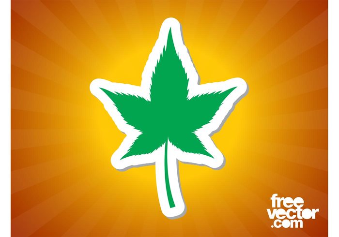 Thc sticker silhouette plant nature Marijuana leaf drug Cannabis indica cannabis badge 