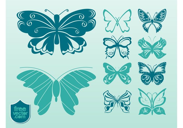 wings swirls spring nature insects fauna circles butterfly butterflies antennas animals 