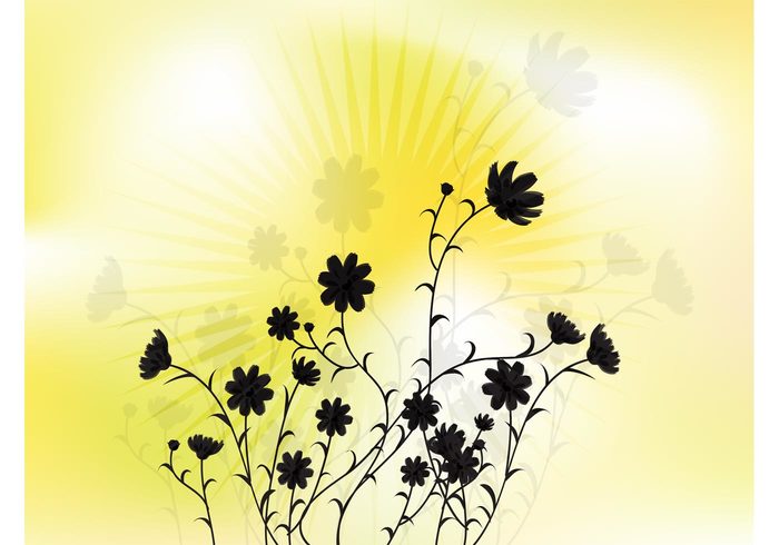 yellow Sun flower sun summer sky plants Light glows Ghost flowers Free flowers vector flowers floral art floral bright 
