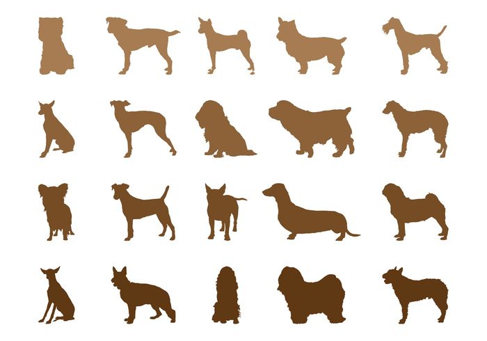 Tails stand sit silhouettes silhouette pug pets pet Domesticated dogs dog Breeds Breeding animals 