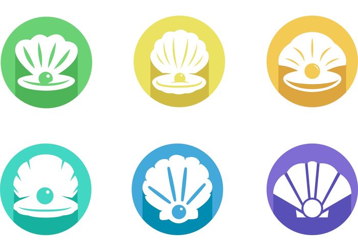 shells shell seashell sea shell sea animal sea pearls pearl shells pearl shell icon pearl pack jewerly flat colorful pearl shell Clams clam shell clam animal  