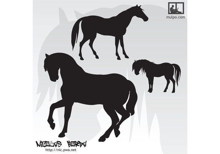 wild vector silhouettes illustrator illustration horses horse graphics freehand free vector design clip art background art animal 