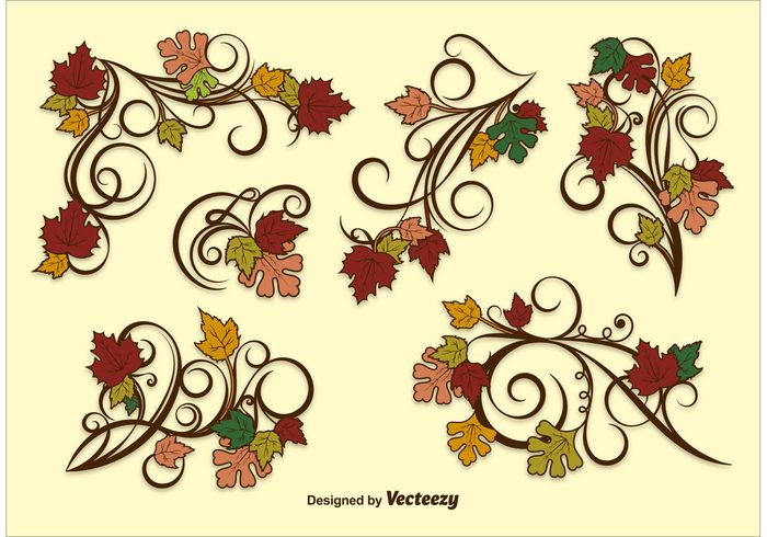thanksgiving border thanksgiving seasonal season red plant orange nature natural maple leaf isolated forest foliage fall leaves fall leaf fall border Fall brown autumn 