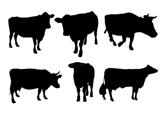 steer standing silhouettes milk meat mammal life isolated Horned group female fat farm cows cow silhouette cow collection cattle silhouette cattle big animals animal agriculture 