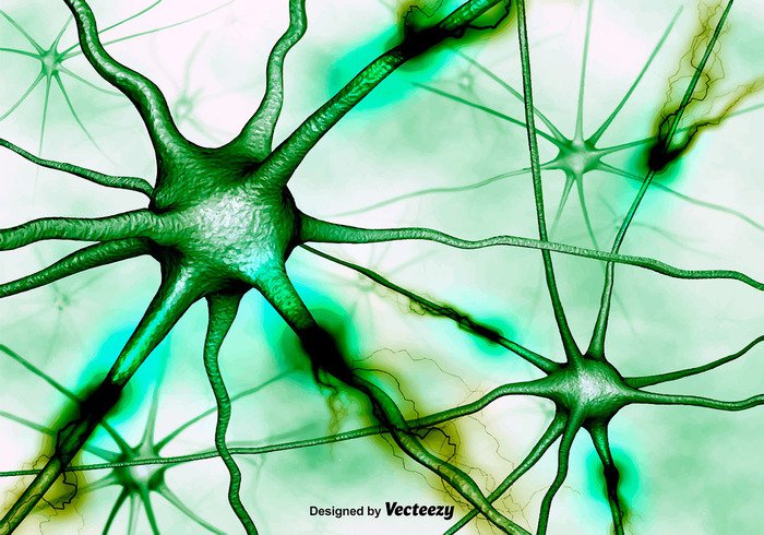technology structure serotonin render pulse organism organic Nucleus neuron Neurology neurological neuro neural nervous nerve modern mind energy dendrites Cells Brainstorm brain body anatomy 