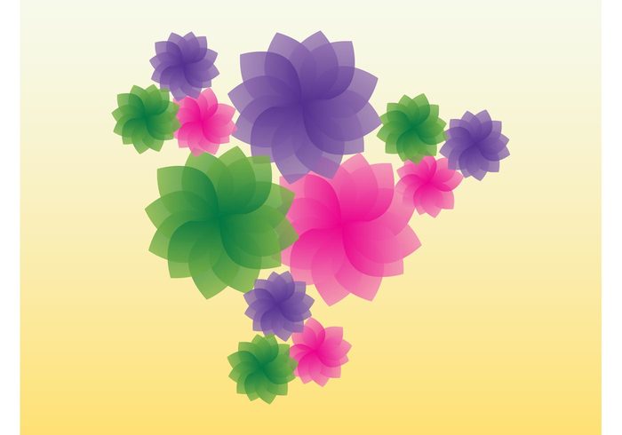 spring plant petal logo greeting fresh flowers flower floral colorful card 