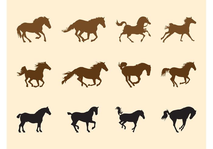 wild Tails silhouettes silhouette run manes horses horse Domesticated animals bronco Bronc animals animal 