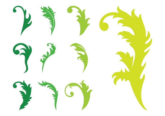 swirls spring silhouettes silhouette scrolls plants nature leaves leaf floral decorative 