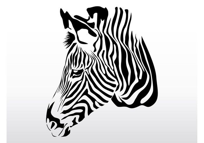 Zoo Zebra vector wildlife striped sticker safari profile mammal horse fauna decal Burchell's zebra animal africa 