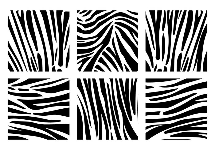 zebra print backgrounds zebra print background zebra print zebra pattern zebra white texture print pattern jungle black and white patterns black background animal print animal pattern animal  