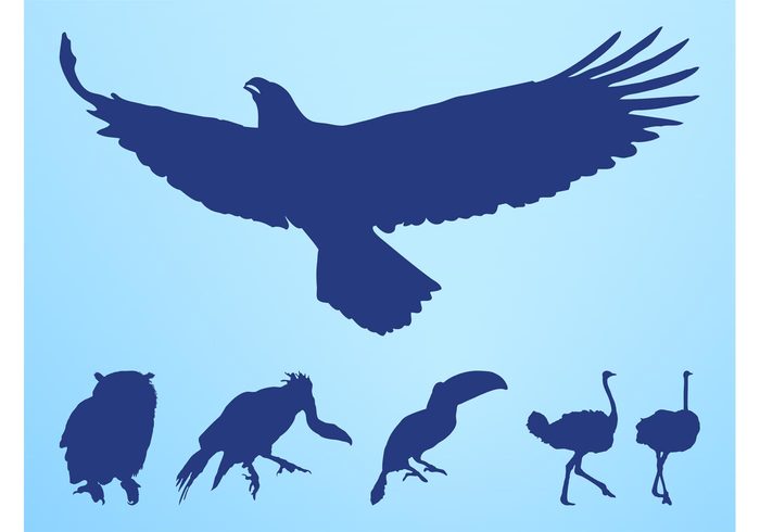 toucan silhouettes owl ostrich Ornithology flying fly eagle birds bird animals animal 