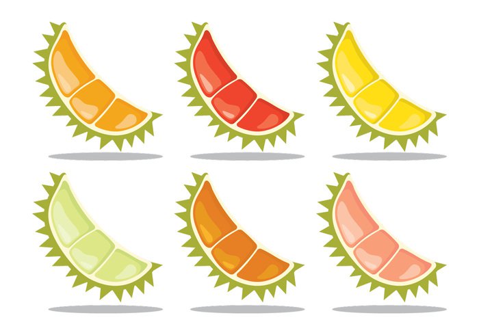yellow white vector tropical symbol sweet summer strong snack smelly smell scent Ripe red plant organic orange olive obesity nutrition nature natural isolated illustration Healthy green graphic fruit freshness fresh food fat exotic energy durian drawing design delicious color cartoon Calories background Asian asia art  
