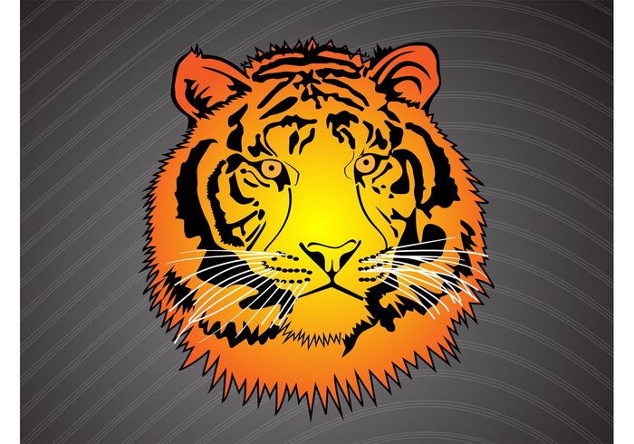 wild Tiger vector tiger stripes safari predator pattern orange jungle icons head fierce face cat bengal animals 