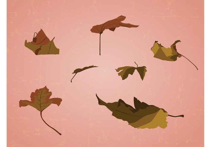 wood torn set seasons Scattered park pack Nature Vectors leave forest falling leaves Fall Dying autumn 