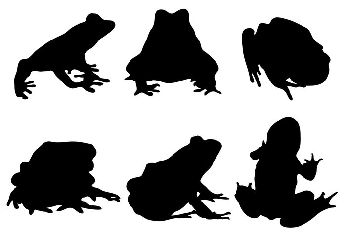 Zoology wildlife wild tattoo silhouette sign poison plain objects isolated green tree frog frog collection black art Aquatic animal 