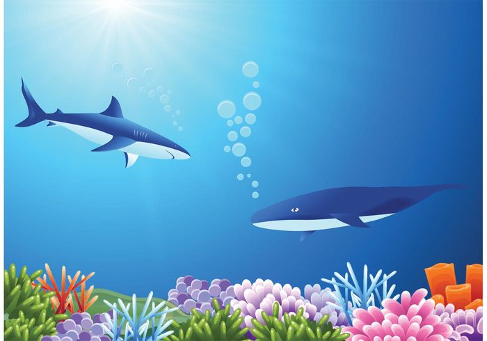 weeds water vector stone sky sharp shark seaweeds sea reefs plants ocean nature natural image illustration great white shark graphic fossils fish creature Corals coral reef with fish coral reef coral colorful bubbles breathing breath big animal 