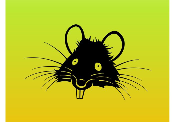 whiskers Vermin teeth rodent rat Pest mouse ears drawing cute comic characters Cartoons animals 