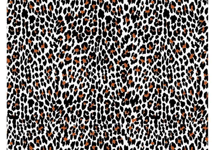 wallpaper skin seamless pattern nature leopard fur fauna fashion fabric Clothing print Big cat background Backdrop image animal 