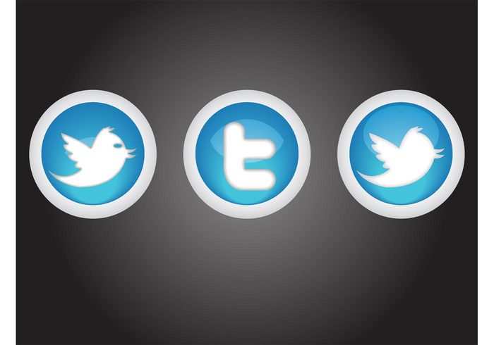 web twitter symbols social network social media social shiny sharing round Reflections circle buttons blogging bird 