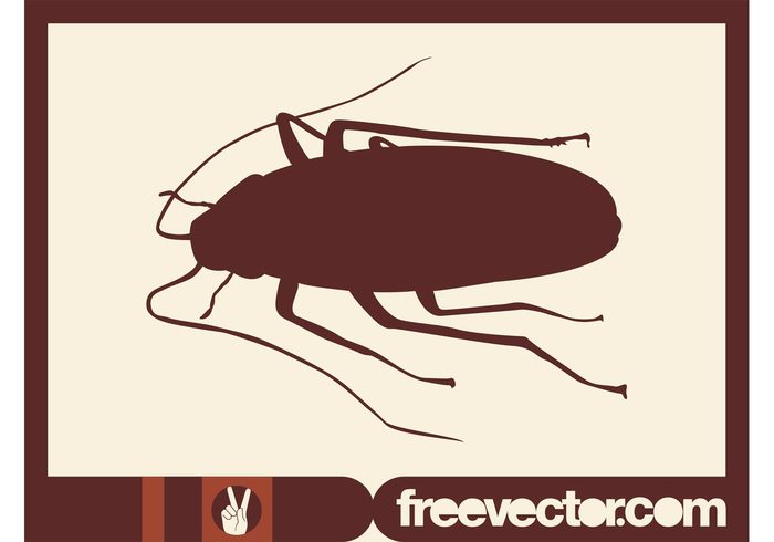 silhouette Roach Pest nature legs insect fauna Cockroach antennas animal 