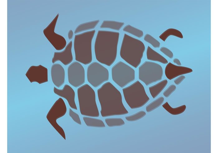 Turtle vector Tortoise stylized sticker shell logo legs icon decorative decoration animal 