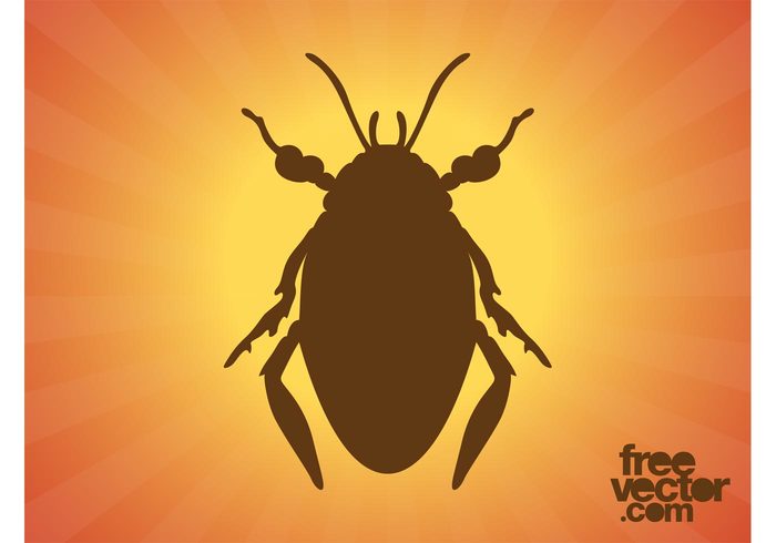 silhouette Pest nature Mandibles legs insect fauna bug beetle antennas animal 