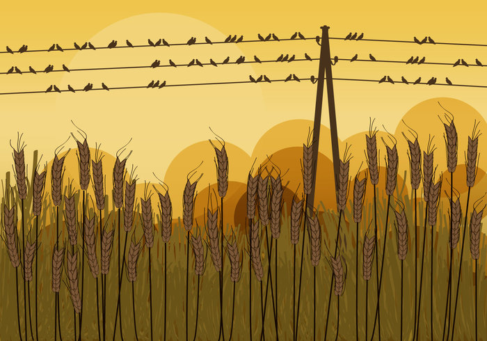 wire wild vector telephone sunset sun still spring Sleep sit silhouette set seasonal post pole Ornithology nature Migration illustration harvest group grass graphic forest fly flora flock fauna farmer farm Fall evening Europe electricity electric ecology design decoration creative country birds on a wire birds beautiful background autumn artwork art animals america agriculture  