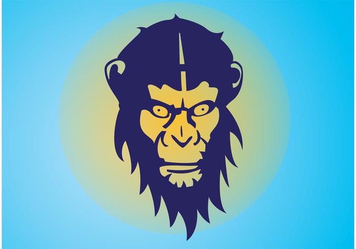Zoo wild safari Monkey head monkey fauna crazy Chimpanzee Chimp cartoon animal 