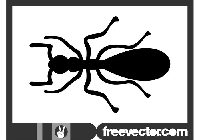 Thorax silhouette Pest nature legs insect head fauna antennas ant animal Abdomen 