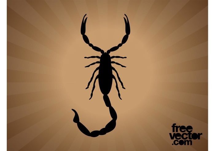tail stinger silhouette scorpion nature fauna claws Claw Arthropod animal 