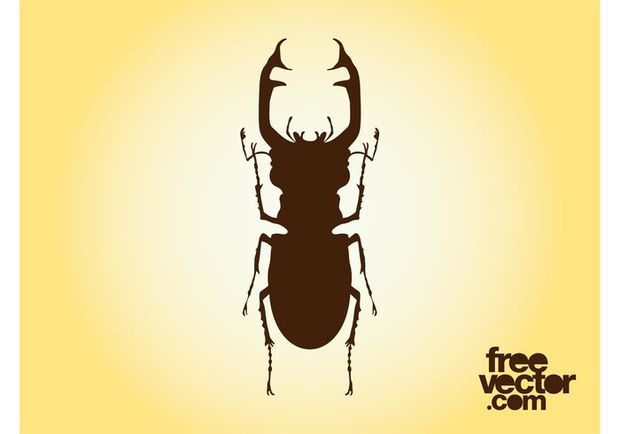 Stag beetle silhouette nature legs insect fauna claws bug beetle animal 