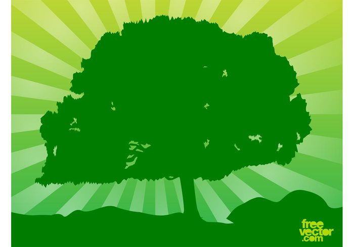 Tree Vector sunny sunburst starburst plant park outdoors landscape Hilltop green forest ecology eco backdrop 