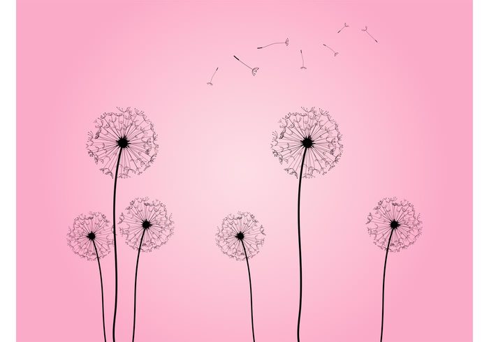 wallpaper summer Stems silhouettes romantic plants outlines nature fly flowers floral decorations Dandelions vector blowing 