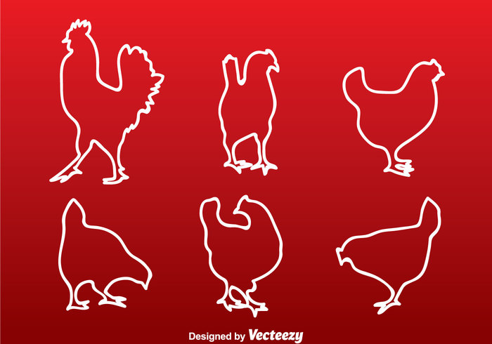 silhouette roster poultry outline Hen Fowl feather farm cock chicken silhouette chicken bird animal 