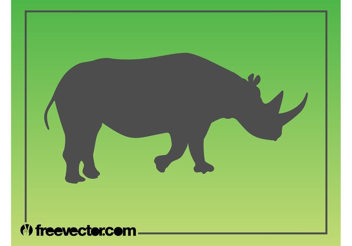 wildlife wilderness silhouette Rhinoceros rhino nature horns horn animal african africa 