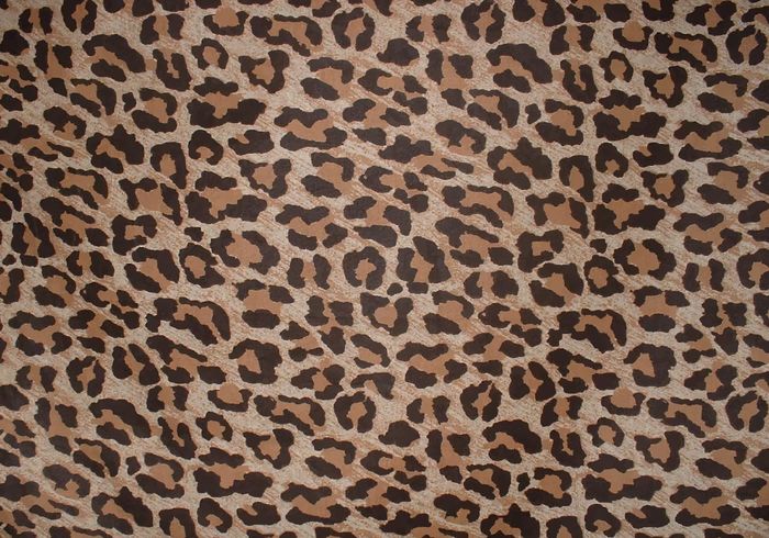 wallpaper Spot skin repeat Puma print pattern panther mammal leopard print leopard patterns leopard pattern leopard background leopard jaguar imitation fur cat camouflage brown background animal skin animal 