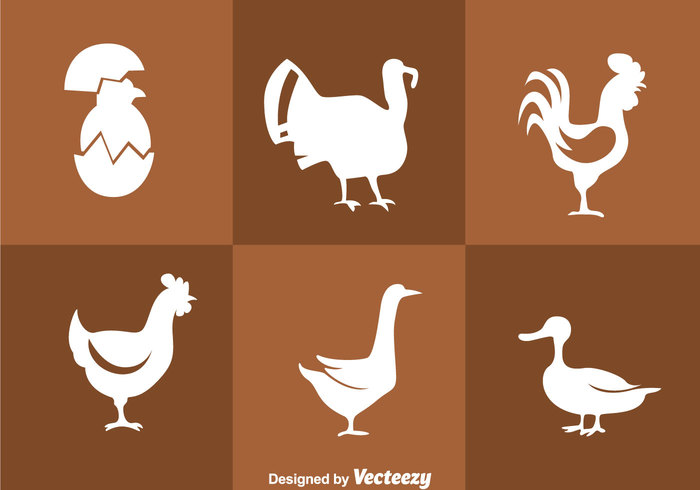 turkey silhouette roster poultry Hen Fowl farm egg duck chicken silhouette chicken chick bird animal 