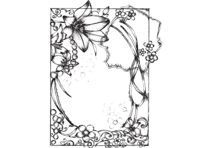 sketchy sketch ornament lily hand frames frame floral drawn draw 