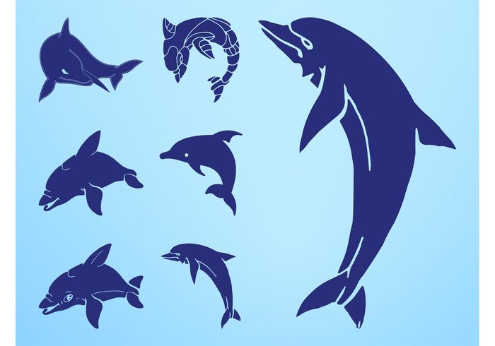 swim silhouettes sea ocean nature marine Mammals jump Fins fauna dolphins dolphin Aquatic animals animal 