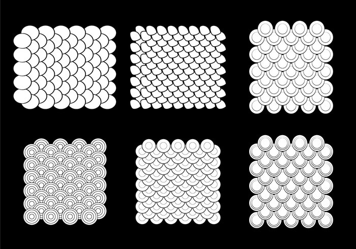 texture skin scale patterns scale pattern Patterns pattern fish scale patterns fish scale pattern fish scale fish decorative black and white patterns black and white pattern background animal 