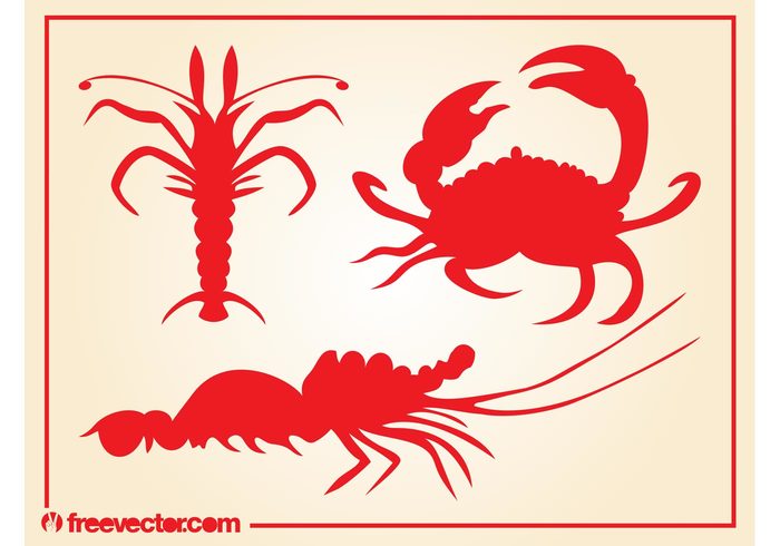 wildlife water silhouettes marine Lobsters fauna Crustaceans crab Aquatic animals 