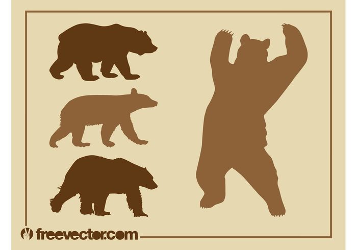 wildlife wild walk silhouettes silhouette Rear up nature fauna bears bear attack animals animal angry 