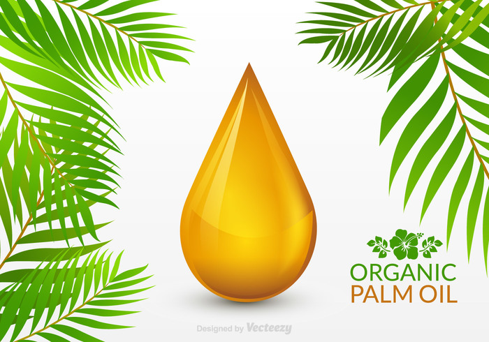 yellow vector transparent symbol splash seed Refining quality pure plant palm oil palm oil material liquid leaf isolated Ingredient Imaginary illustration icon graphic fruit freshness food falling element eating droplet drop drip crude cooking closeup agriculture  