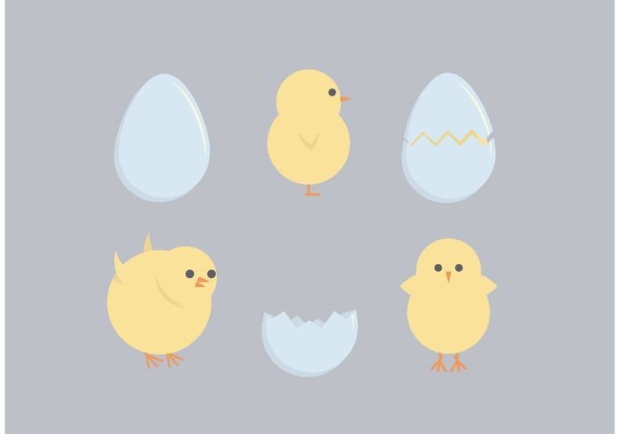 yellow chick spring animal spring round hatching happy easter egg easter chicken easter chick easter cute chicks chick baby chick 