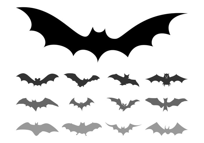 wings silhouettes silhouette scary nature halloween flying fly fauna bats bat animals animal 